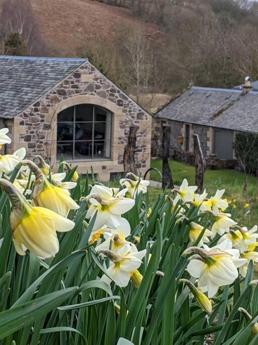 Woodmill Arches - Designer Barn Conversion For Two Διαμέρισμα Lindores Εξωτερικό φωτογραφία